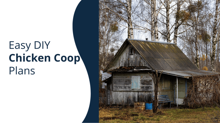 Easy DIY Chicken Coop Plans That Actually Work for Real Backyards